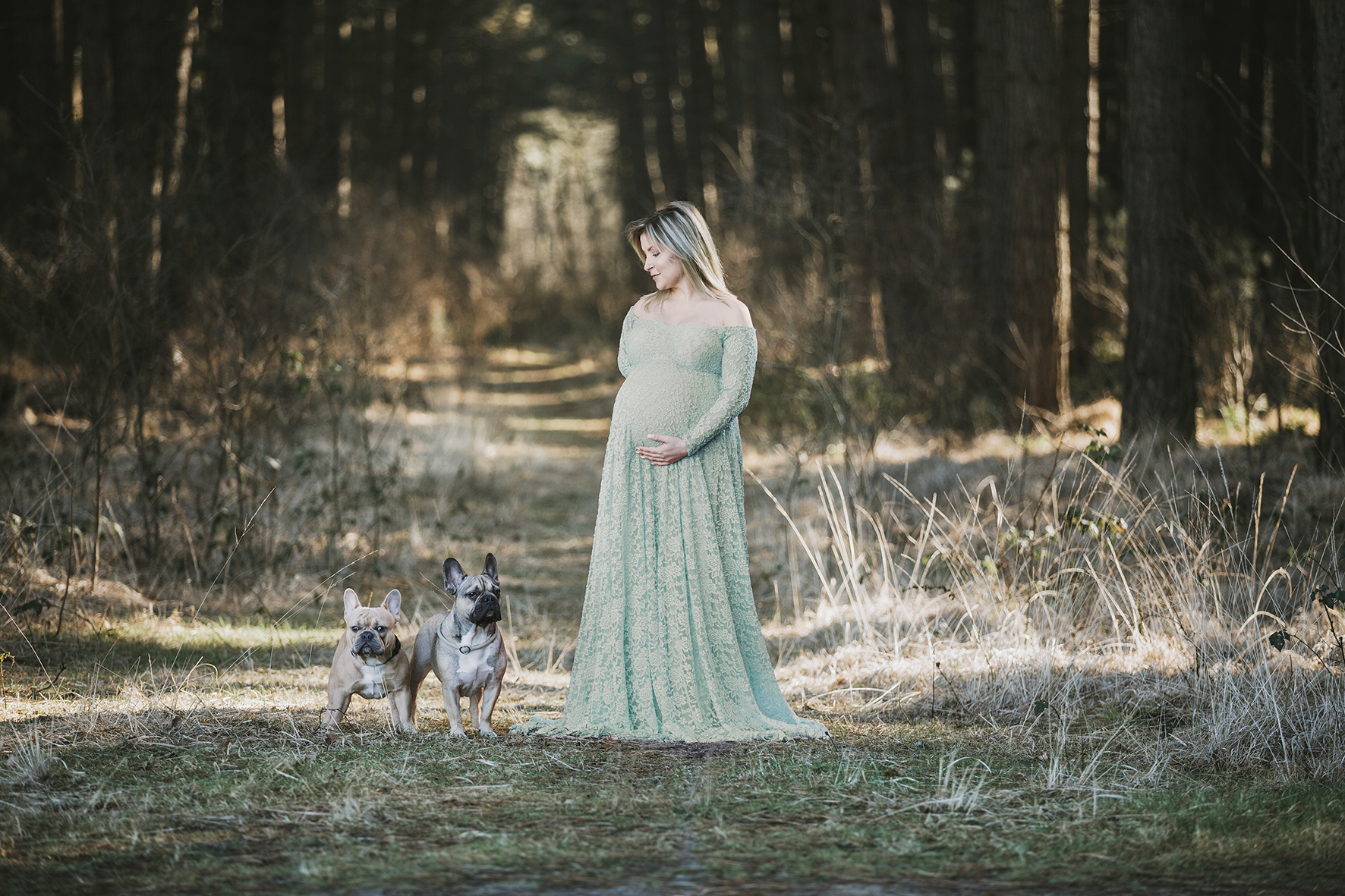 zwangerschap, franse buldog, foto in natuur