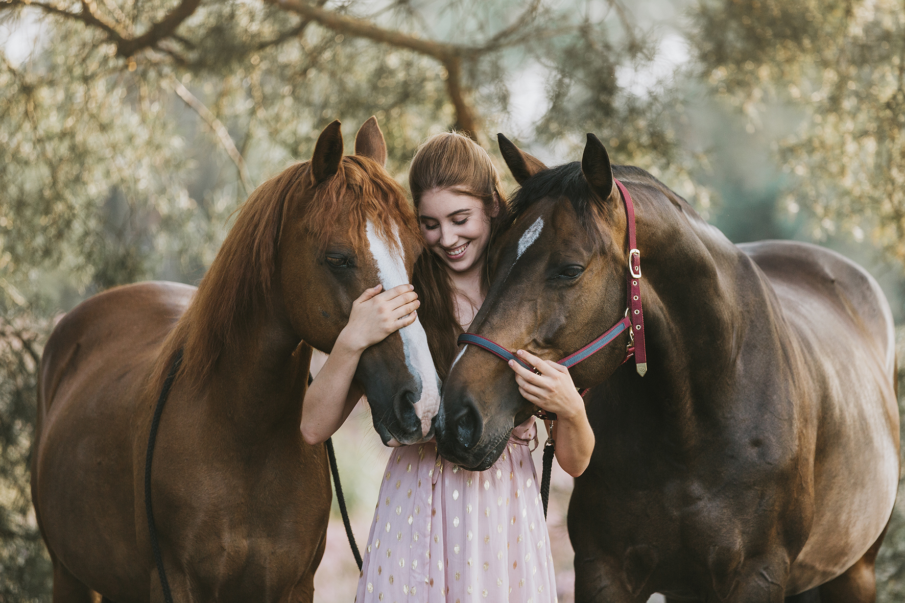 paardenfotografie