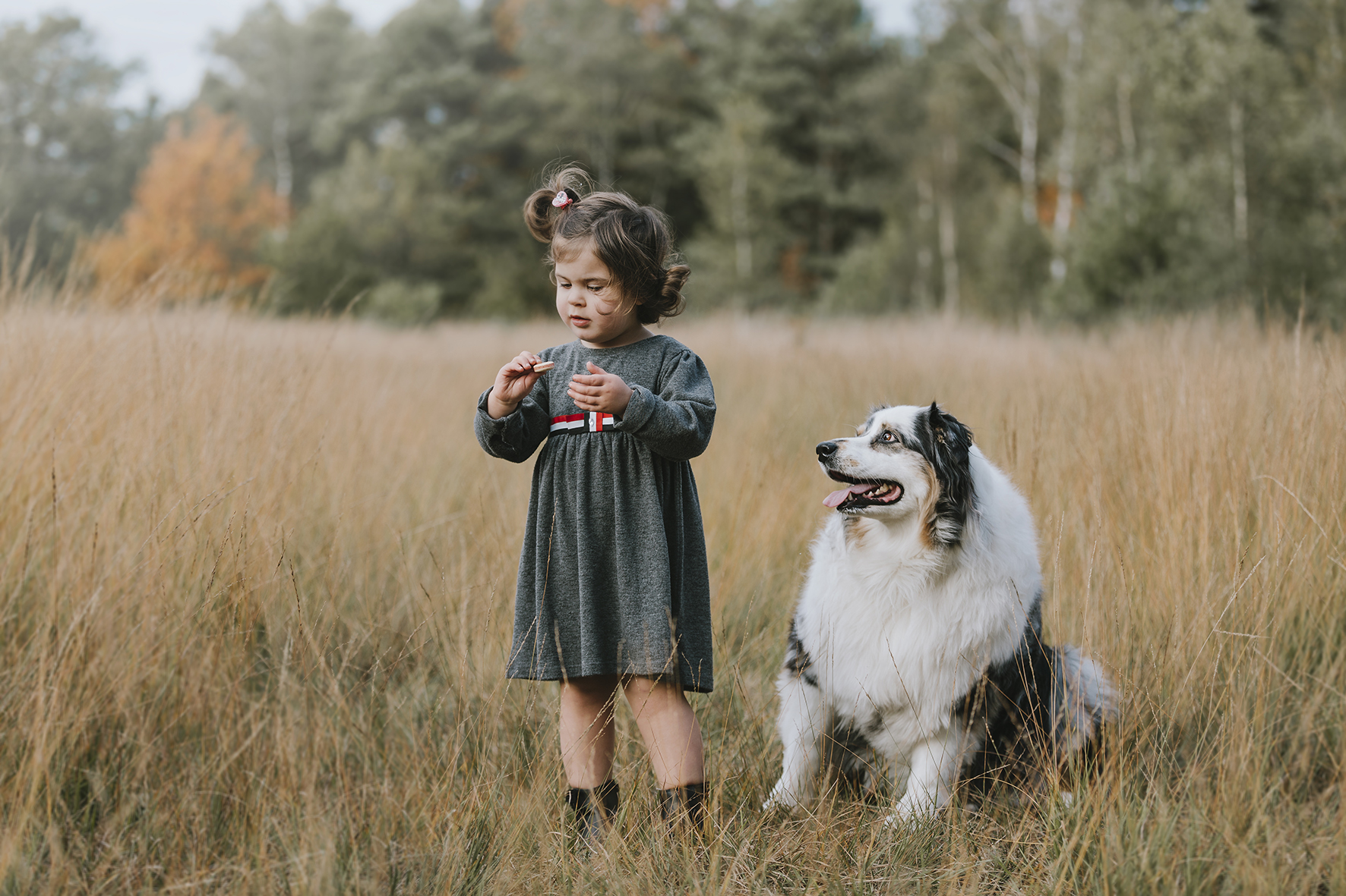Kind+hond
