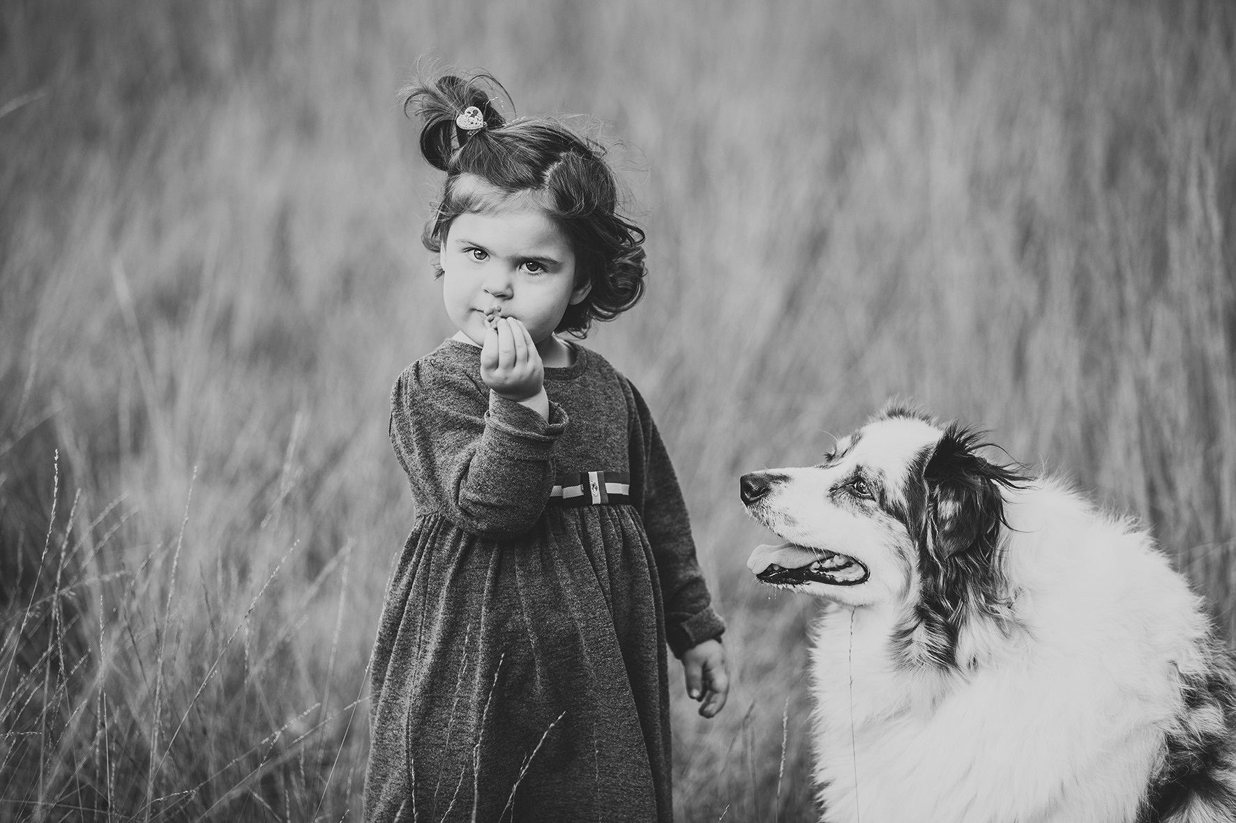 Hond+kind
