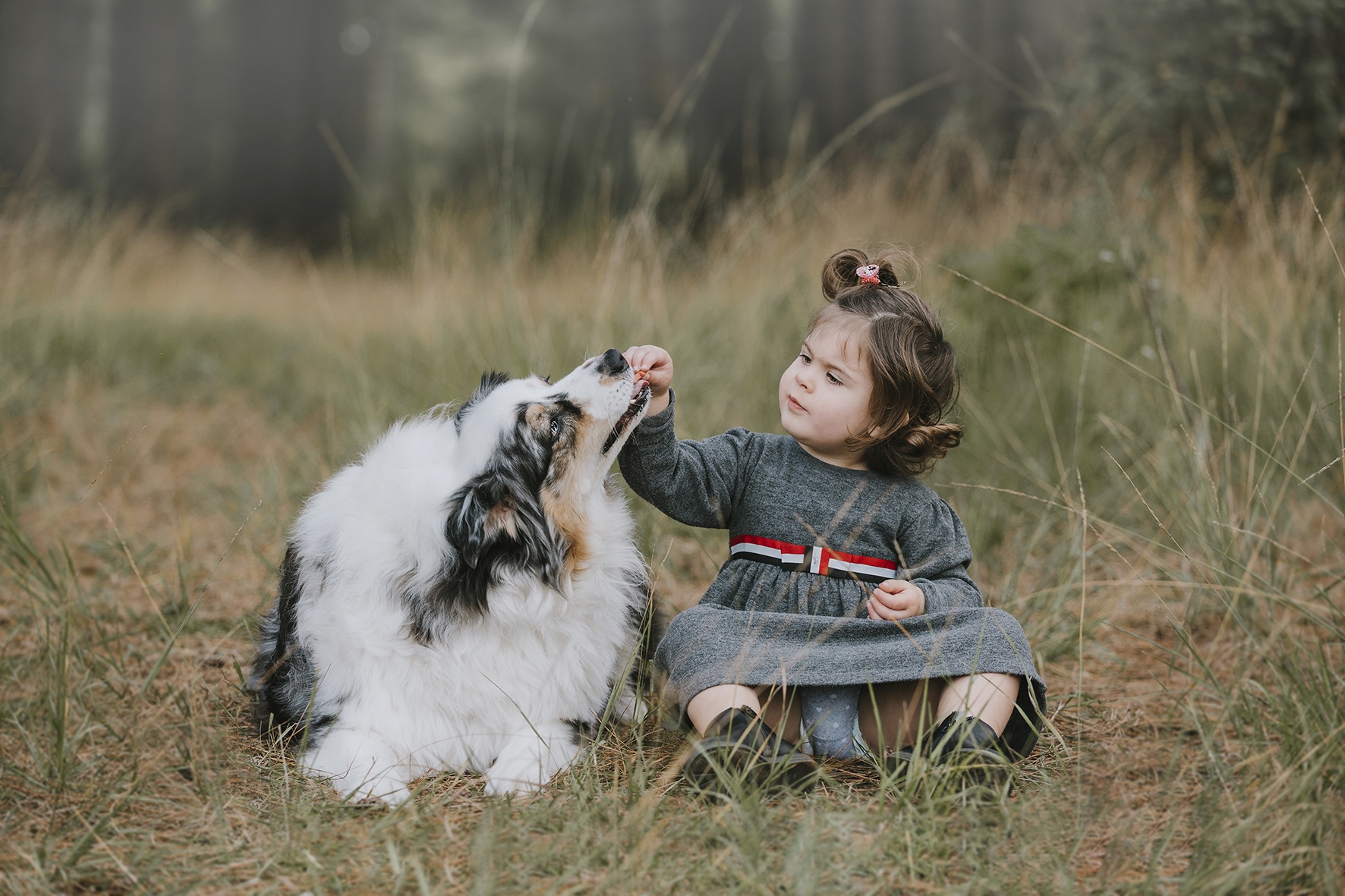 Hond+kind